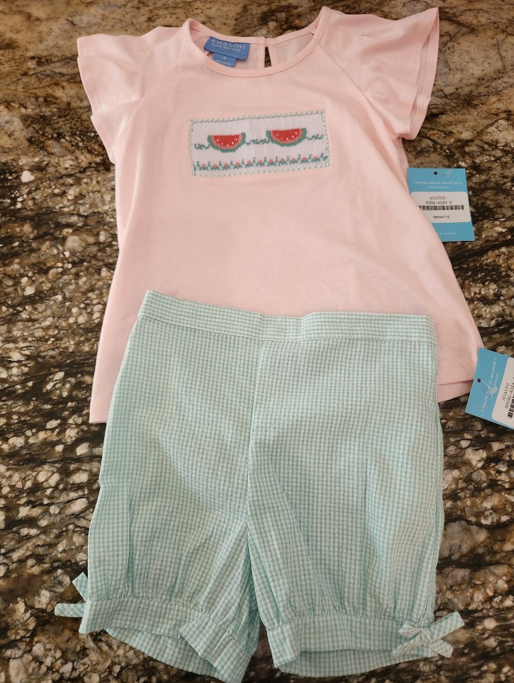 Pink Watermelon Smocked Tee with Mint Gingham Shorts